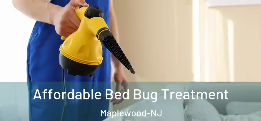Affordable Bed Bug Treatment Maplewood-NJ