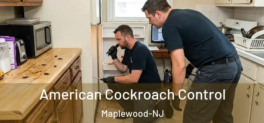 American Cockroach Control Maplewood-NJ