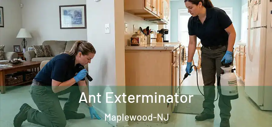 Ant Exterminator Maplewood-NJ