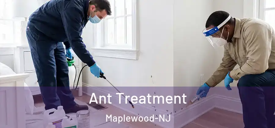 Ant Treatment Maplewood-NJ