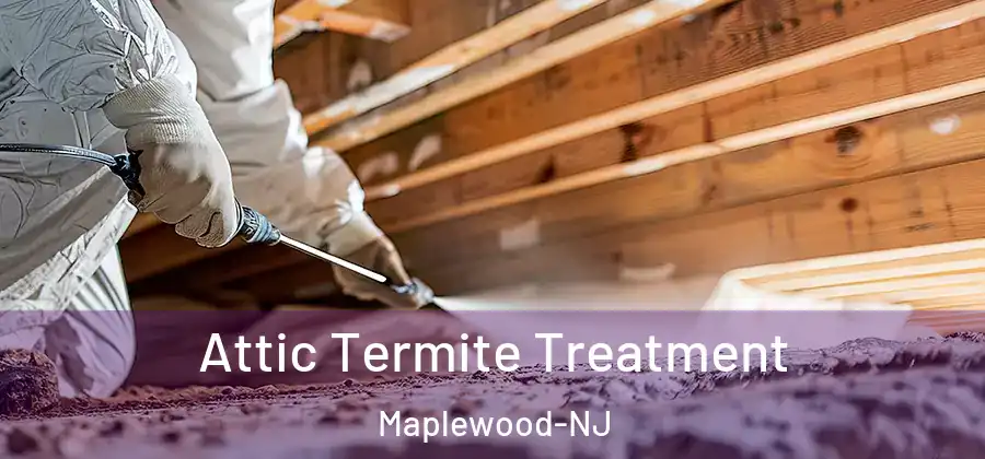 Attic Termite Treatment Maplewood-NJ