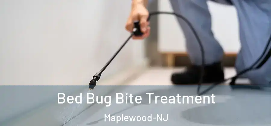  Bed Bug Bite Treatment Maplewood-NJ