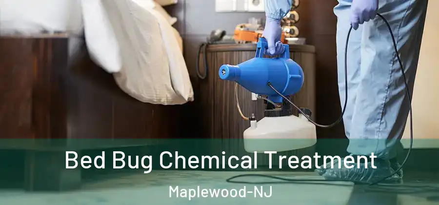  Bed Bug Chemical Treatment Maplewood-NJ
