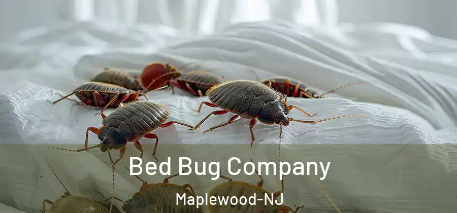 Bed Bug Company Maplewood-NJ