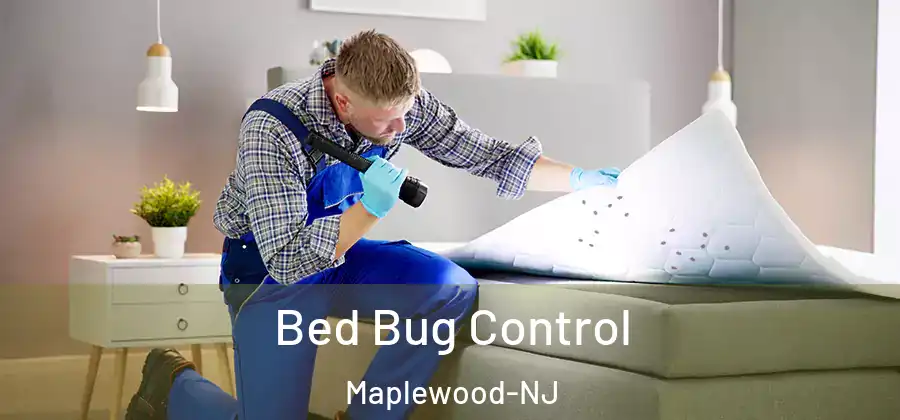 Bed Bug Control Maplewood-NJ