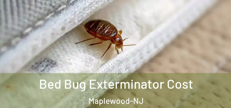 Bed Bug Exterminator Cost Maplewood-NJ