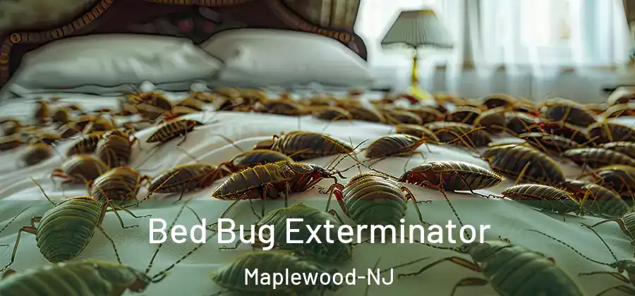 Bed Bug Exterminator Maplewood-NJ