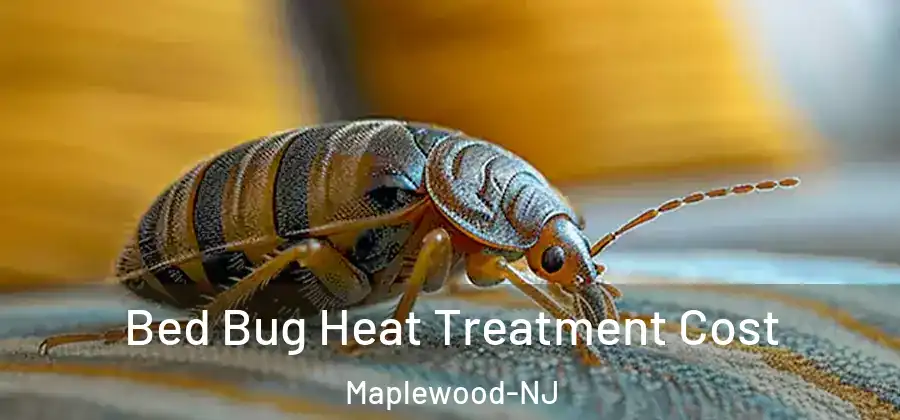  Bed Bug Heat Treatment Cost Maplewood-NJ