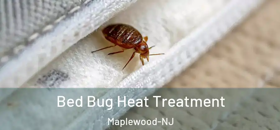 Bed Bug Heat Treatment Maplewood-NJ
