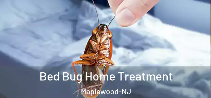Bed Bug Home Treatment Maplewood-NJ