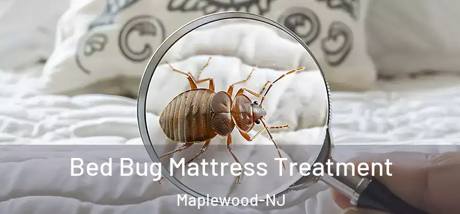 Bed Bug Mattress Treatment Maplewood-NJ