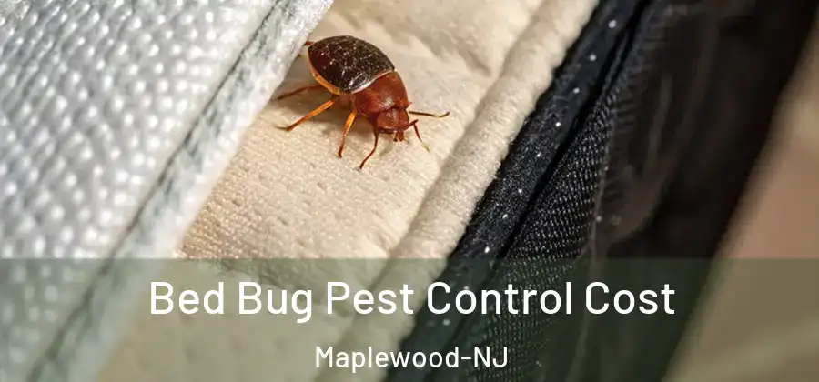 Bed Bug Pest Control Cost Maplewood-NJ