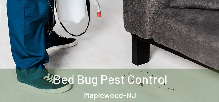 Bed Bug Pest Control Maplewood-NJ
