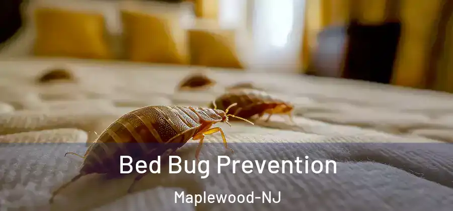 Bed Bug Prevention Maplewood-NJ