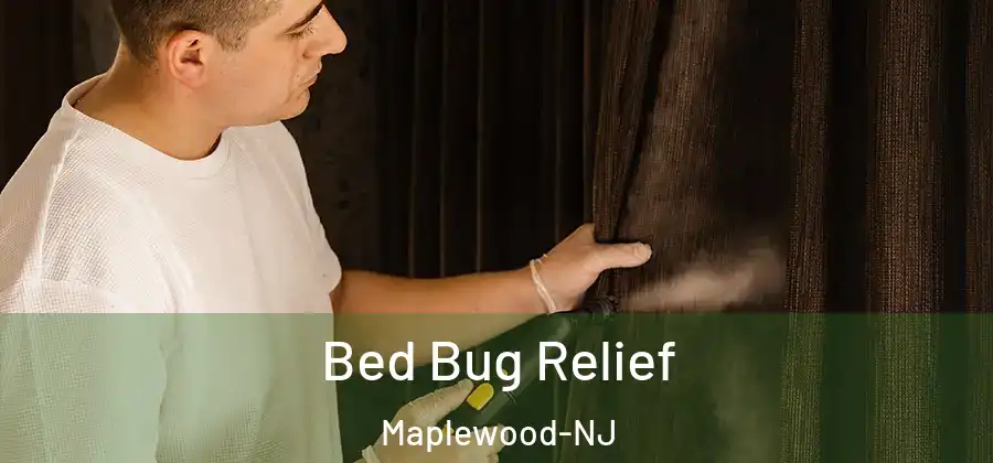 Bed Bug Relief Maplewood-NJ