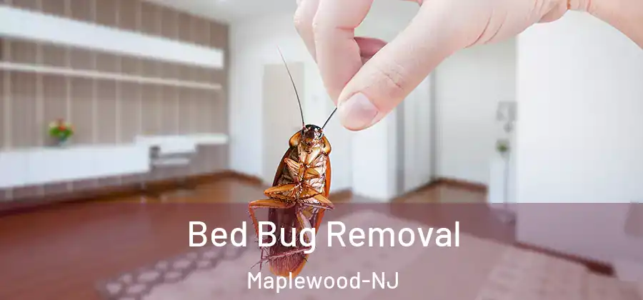 Bed Bug Removal Maplewood-NJ