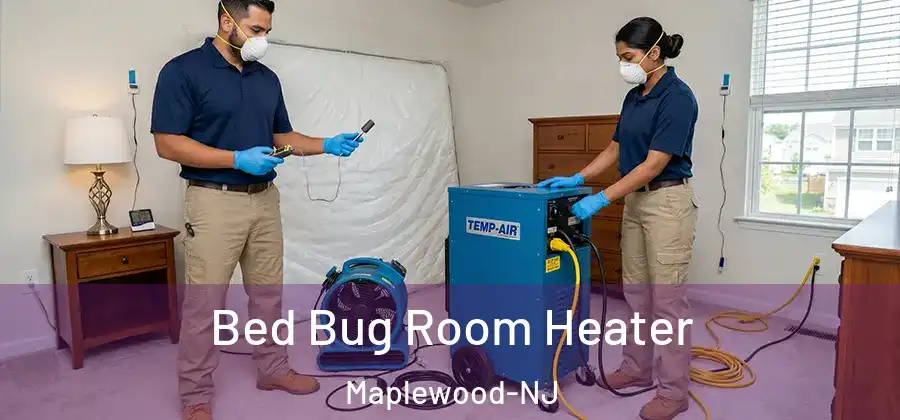 Bed Bug Room Heater Maplewood-NJ