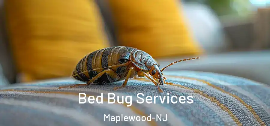 Bed Bug Services Maplewood-NJ