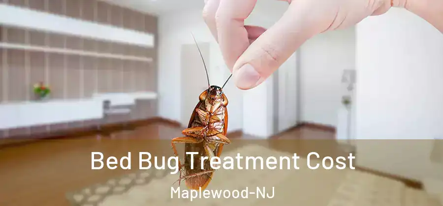 Bed Bug Treatment Cost Maplewood-NJ