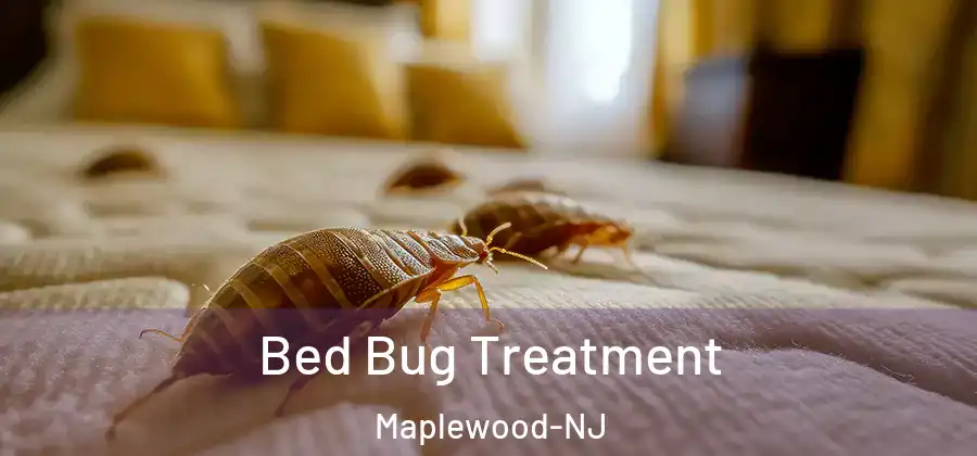 Bed Bug Treatment Maplewood-NJ