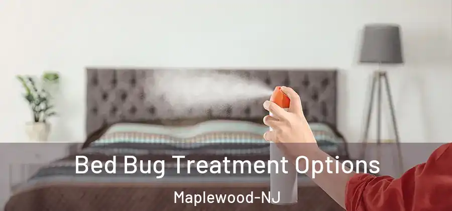 Bed Bug Treatment Options Maplewood-NJ