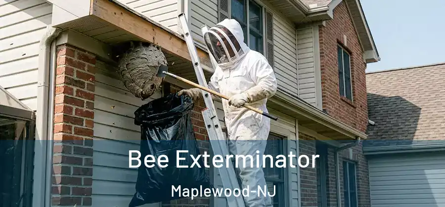 Bee Exterminator Maplewood-NJ