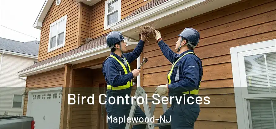 Bird Control Services Maplewood-NJ