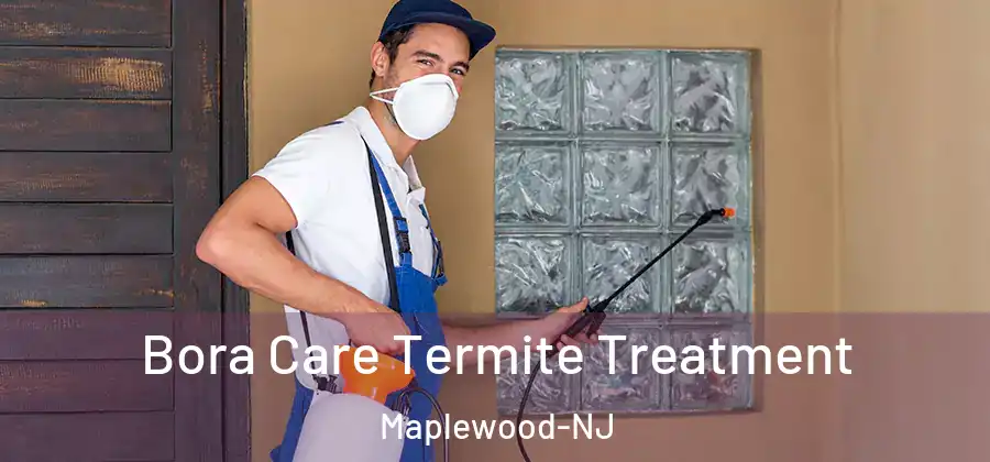  Bora Care Termite Treatment Maplewood-NJ