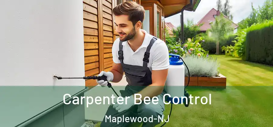 Carpenter Bee Control Maplewood-NJ