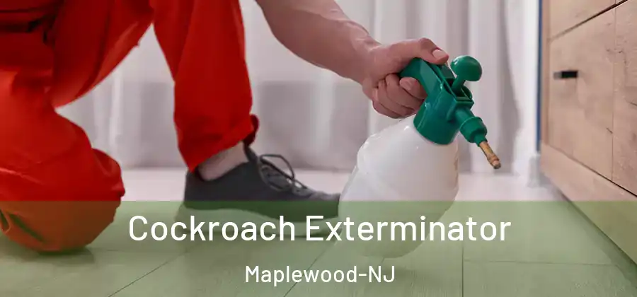 Cockroach Exterminator Maplewood-NJ