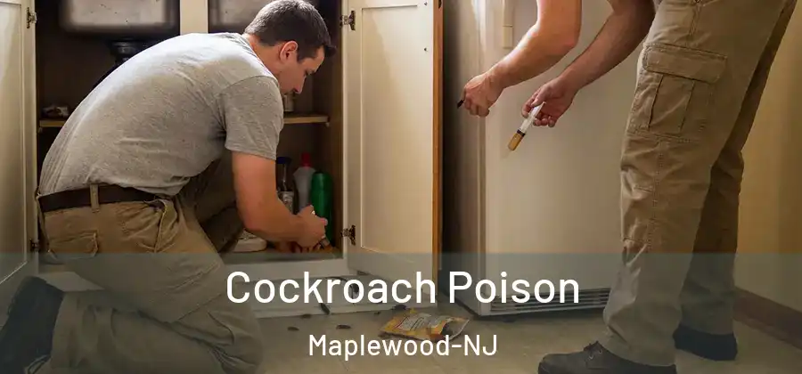 Cockroach Poison Maplewood-NJ