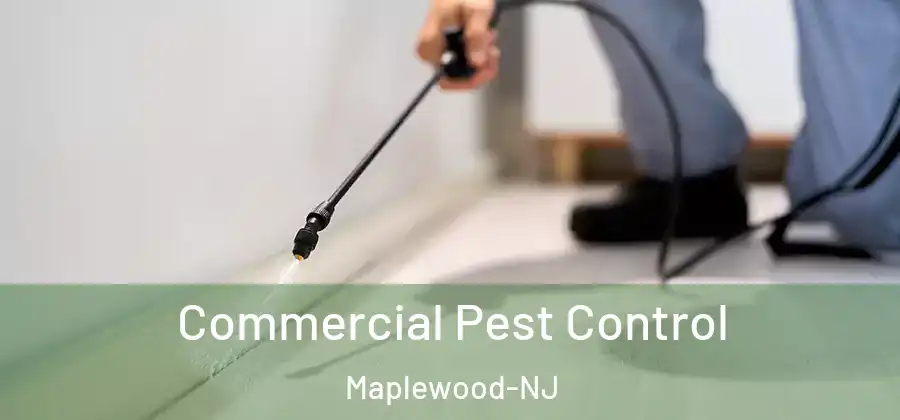 Commercial Pest Control Maplewood-NJ
