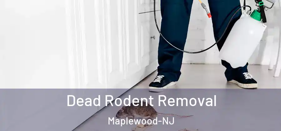 Dead Rodent Removal Maplewood-NJ