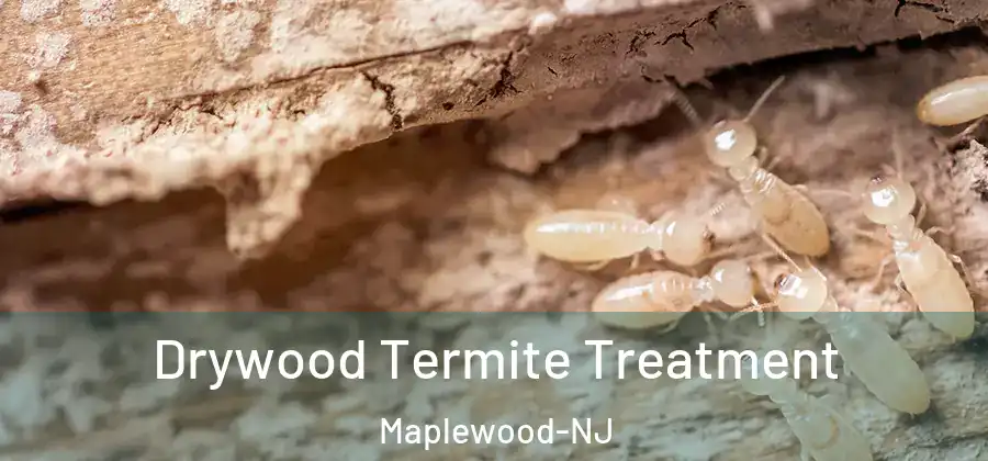 Drywood Termite Treatment Maplewood-NJ