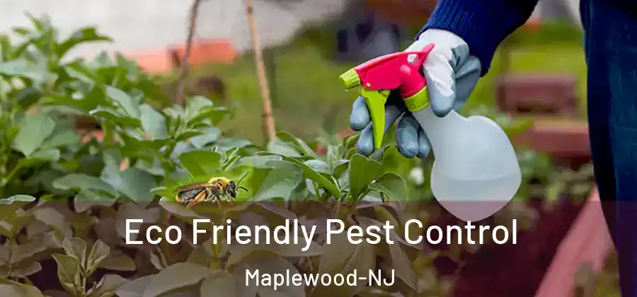 Eco Friendly Pest Control Maplewood-NJ