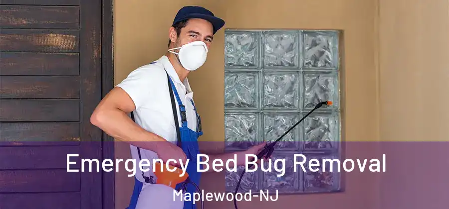 Emergency Bed Bug Removal Maplewood-NJ