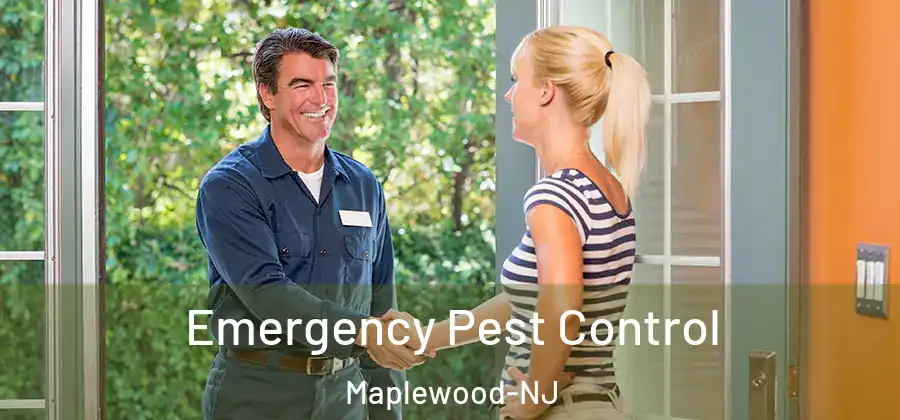 Emergency Pest Control Maplewood-NJ