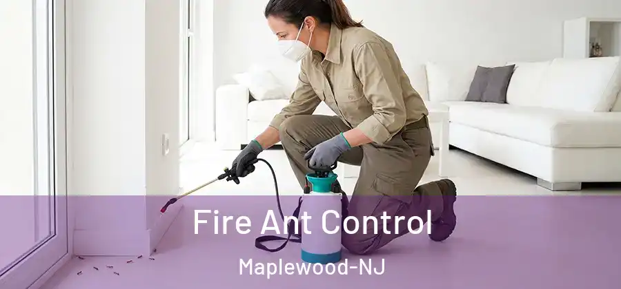 Fire Ant Control Maplewood-NJ