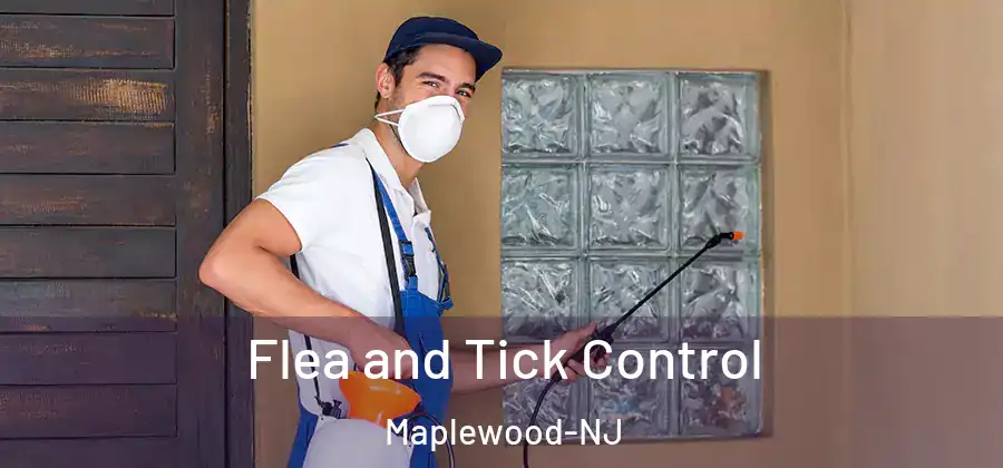 Flea and Tick Control Maplewood-NJ