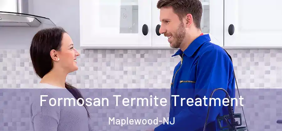 Formosan Termite Treatment Maplewood-NJ