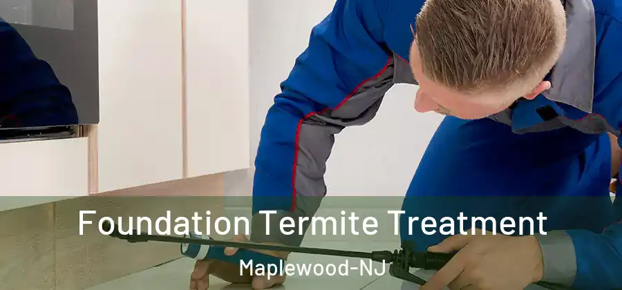 Foundation Termite Treatment Maplewood-NJ