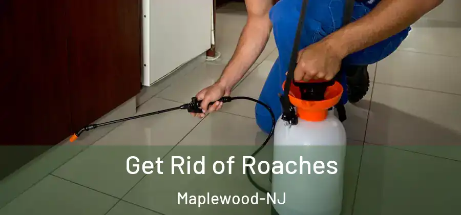 Get Rid of Roaches Maplewood-NJ