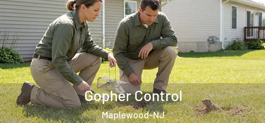 Gopher Control Maplewood-NJ