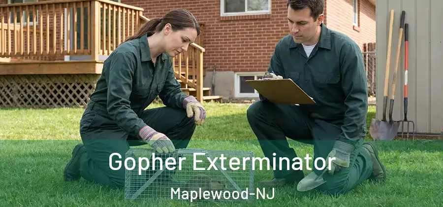Gopher Exterminator Maplewood-NJ