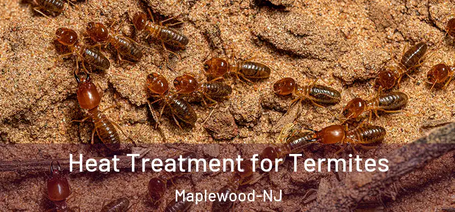 Heat Treatment for Termites Maplewood-NJ
