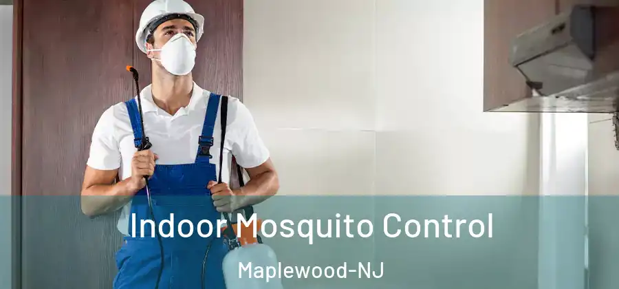 Indoor Mosquito Control Maplewood-NJ