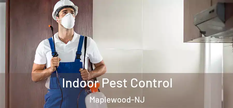 Indoor Pest Control Maplewood-NJ