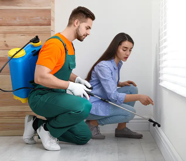 Trusted Affordable Bed Bug Treatment Experts in Maplewood, NJ