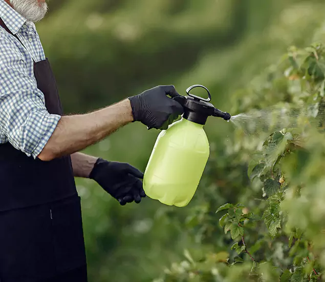 Your Proven Mosquito Treatment Company in Maplewood, NJ