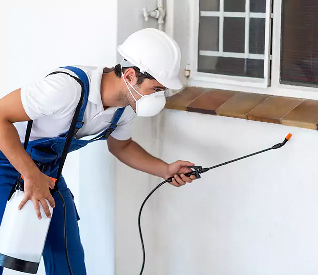 Your Professional Cockroach Exterminator in Maplewood, NJ